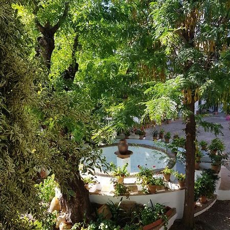 Patio Andaluz Siglo XVI Sevilha Exterior foto